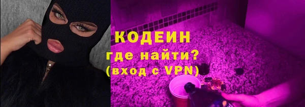 2c-b Каменка