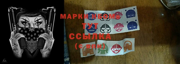 стаф Алзамай