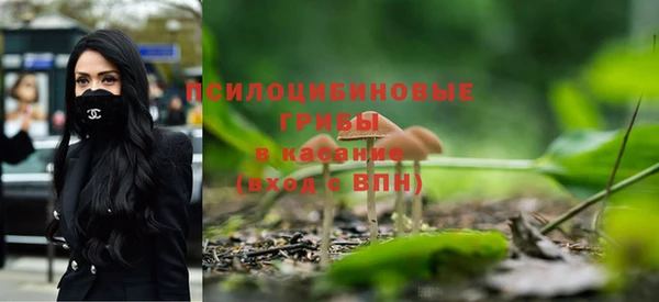 прущие грибы Алексеевка