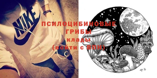 прущие грибы Алексеевка