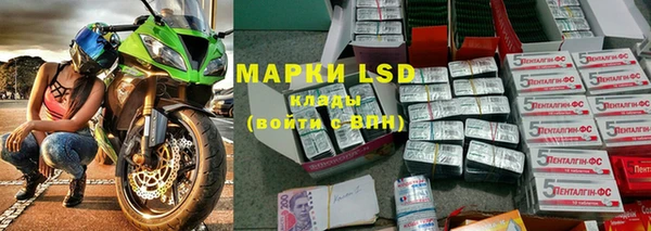 прущие грибы Алексеевка