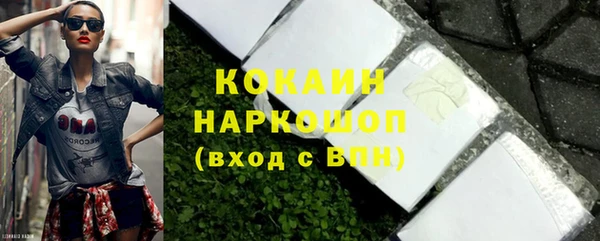 стаф Алзамай